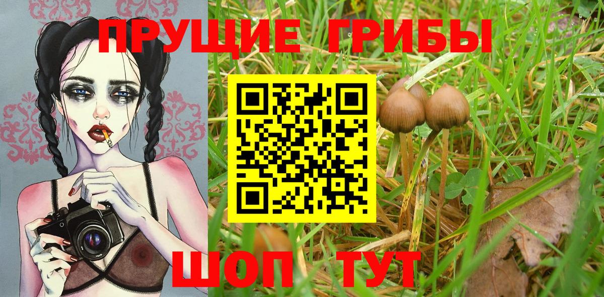 Галлюциногенные грибы Psilocybe  Вход с VPN  Ижевск 